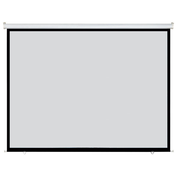 DMT Proscreen Electric 100"