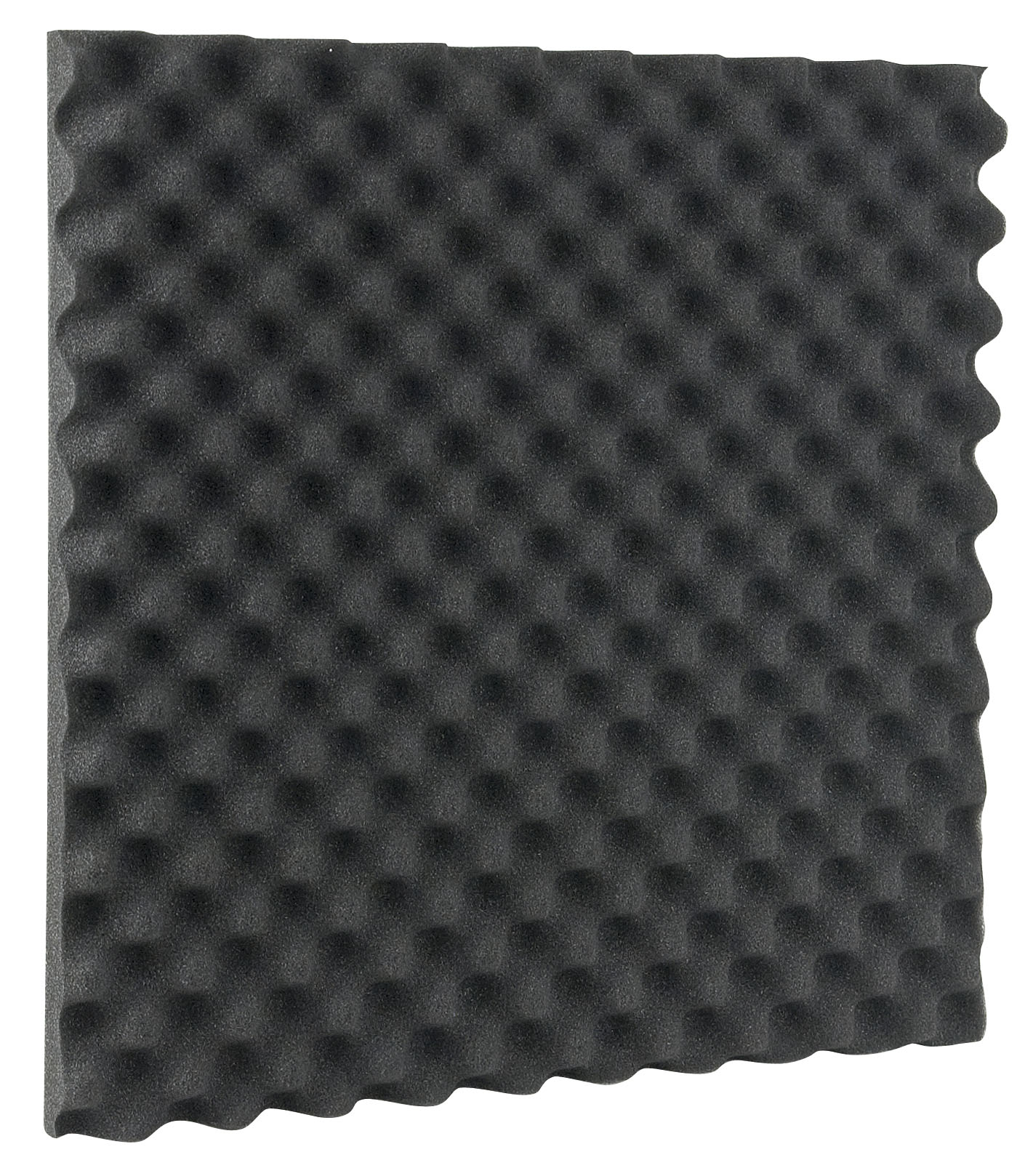 DAP Audio Egg foam 30mm